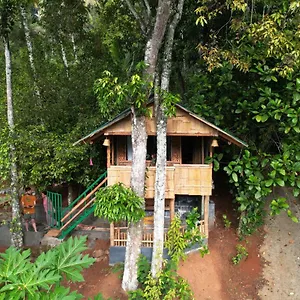 Fab - Bamboo Hut With Open Shower Guest house Munnar